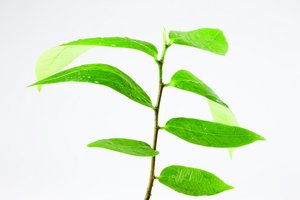质量管控